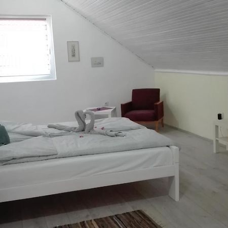 בלגרד Apartment Dixy מראה חיצוני תמונה